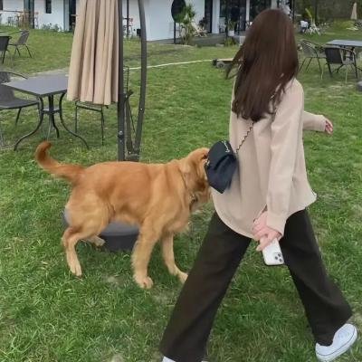 论尽我婆妈